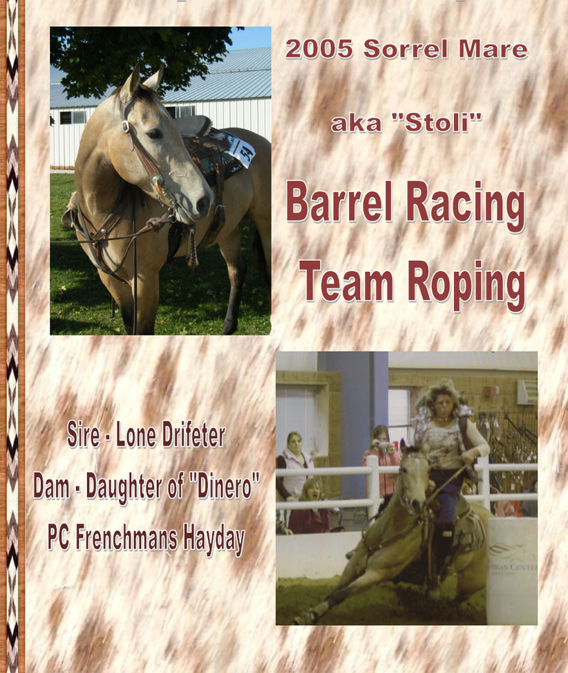 MP Topofthewoodpile - "Stoli" - 2005 Sorrel Mare - Barrel Racing - Team Roping - Sire Lone Drifter - Dam Daughter of "Dinero" - PC Frenchmans Hayday